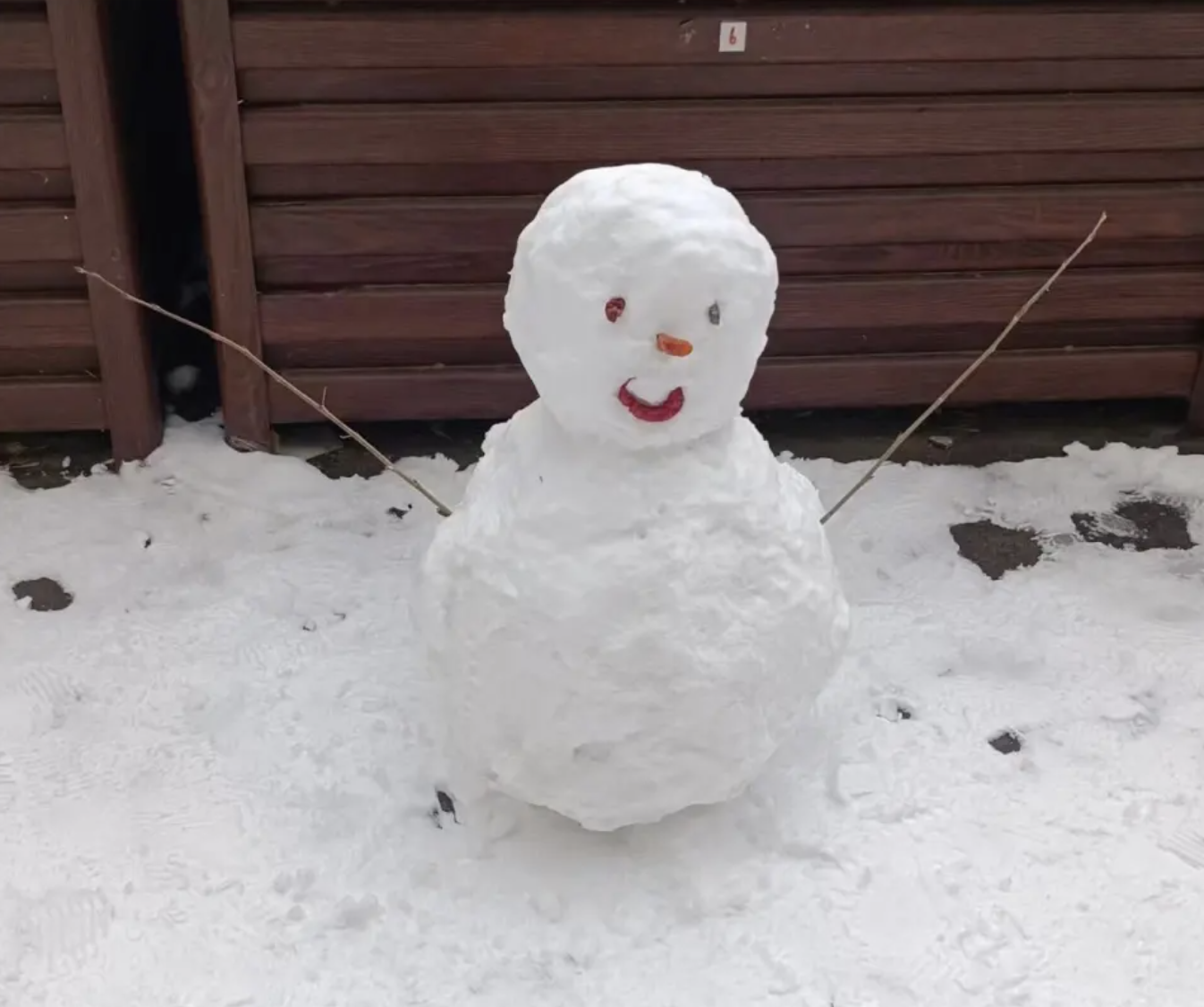 北方多地降下鹅毛大雪，你那里雪有多大？